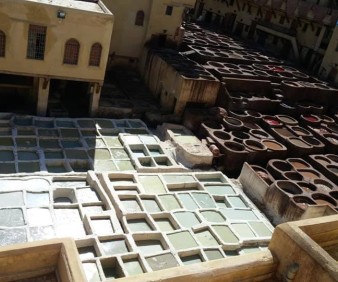 Leather shopping in Fez